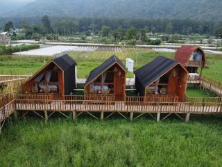 Dynasty Glamping Bedugul - Bedugul - 8