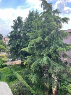 Dream & suite - Padua - 8