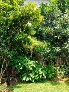 Hotel Bishram - Pokhara - 7