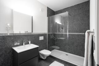BetweenLakes Studio ground floor west - Interlaken - 8