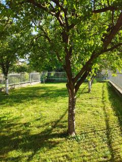 Apartman 1 - Sarajevo - 9