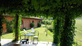 Tenuta Montanello B&B - Castiglione Falletto - 6