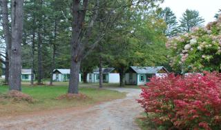 Pine Valley Cabins - Thornton - 4