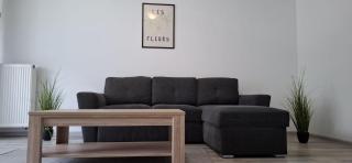 Coresi-Kasper Apartment - Braşov - 0