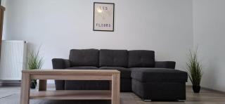 Coresi-Kasper Apartment - Braşov - 9