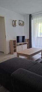 Coresi-Kasper Apartment - Braşov - 1