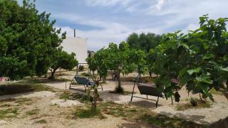 Villa Aurora 1 - Torre Lapillo - 1