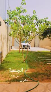 شاليهات الروضة - Najran - 8