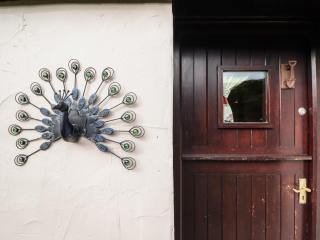 Hafoty Boeth Cottage - Corwen - 8