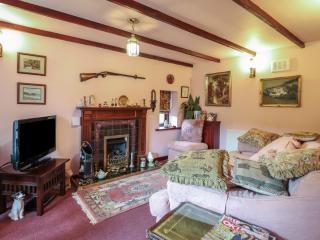 Hafoty Boeth Cottage - Corwen - 6