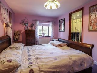 Hafoty Boeth Cottage - Corwen - 1