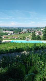 Tenuta Montanello B&B - Castiglione Falletto - 3