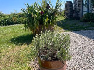 Chambre Jersey - Quai des Ormes - Barneville-Carteret - 3