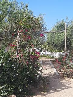 La Rose - Bin Rhilouf - 7