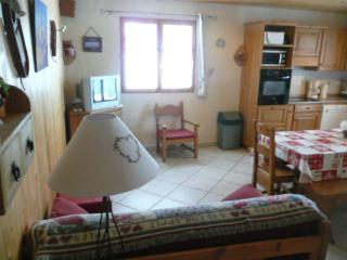 Triplex 5 pièces, 10 pers, Nord-Est, à 1,6km du centre de Valloire, 3* Gîtes de France - FR-1-263-187 - Valloire - 0