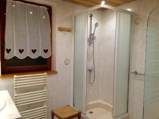Charmant 3 pièces, 6 personnes, Sud, près télésiège, WiFi, animaux OK, parking, Valloire - FR-1-263-391 - Valloire - 2