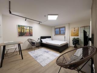 Modernes 1 Zimmer Apartment in Schwabing nähe Allianz Arena und Englischer Garten - Múnich - 0