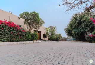 Greenland Farm - Dubai - 5