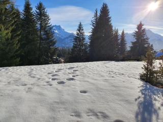 Bel appartement en montagne - Ollon - 6