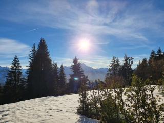 Bel appartement en montagne - Ollon - 5