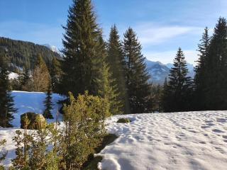 Bel appartement en montagne - Ollon - 1