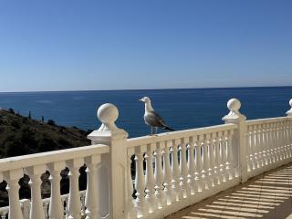 Benidorm, Palm Bay, Levante Beach - Benidorm - 7