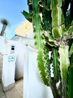 Casa Regina Elena 2 - Barletta - 7