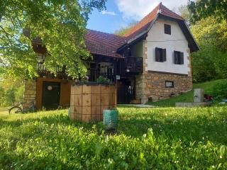 Etno kuća Milidrag - Foča - 8