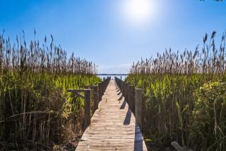 Magnolia Sound - Kitty Hawk - 9