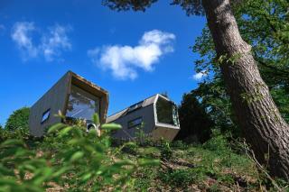 Green Tiny Spot Salemer See - Tiny House Nook 5 - Salem - 8