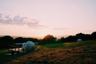 The Paddocks Glamping - Draycott - 4