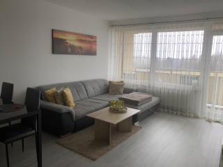 Apartment Gipfelstürmer im Harz mit Schwimmbad - Hohegeiss - 0
