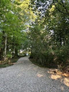 Maplewood Cottages 2 - Coloma - 7