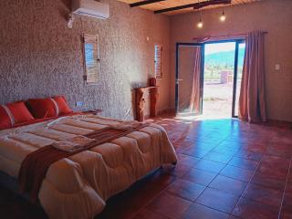 Cactus del Talampaya 2 - Villa Unión - 9