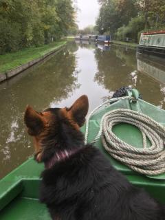 Stone - Boat - Sleeps 4 - Pet Friendly-85ws - Stone - 3