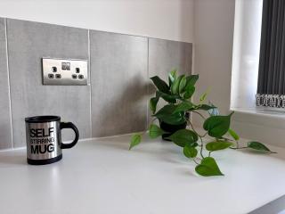 Elegant Apartment - Birmingham - 4
