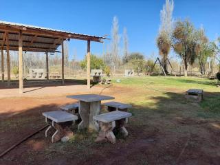 Cactus del Talampaya 2 - Villa Unión - 5