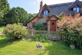Fox Cottage - 9