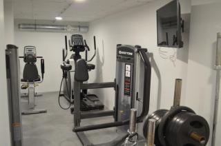 Luxury loft with a gym - Saint-Étienne - 5