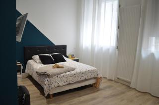 Luxury loft with a gym - Saint-Étienne - 3