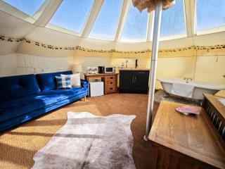 Stargazers - Norwich - 1