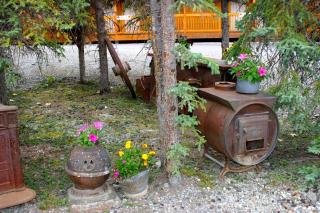 Denali Grizzly Bear Resort - 3