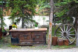 Denali Grizzly Bear Resort - 2