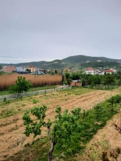 Anushe's apartament - Pogradec - 2