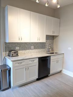 Spacious Bronzeville Apartment - Chicago - 2