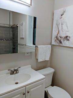 Spacious Bronzeville Apartment - Chicago - 1