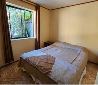 Leon de Buenos Aires - San Clemente - 3