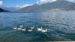 Casa del Cerbiatto, Lake Como Area - Castiglione dʼIntelvi - 6