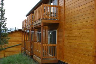 Denali Grizzly Bear Resort - McKinley Park - 6