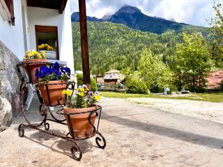 La Baita - Vigo di Cadore - 3